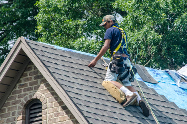 Best Roof Gutter Cleaning  in Shippensburg University, PA
